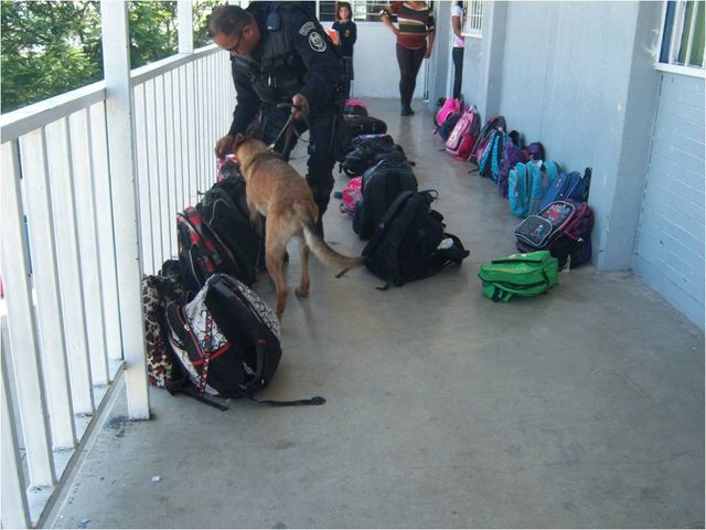 REVISIÓN DE MOCHILA POR EL CANINO